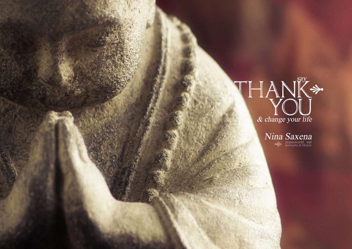 Gratitud - Di 